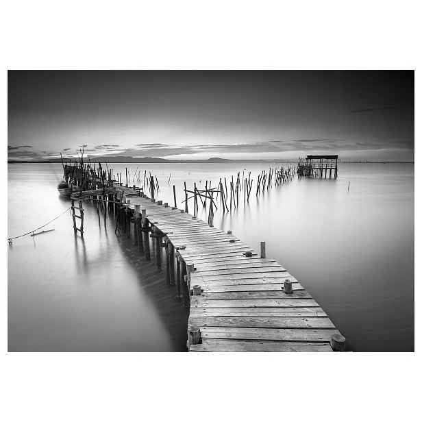 Fototapeta Monochromatický šedý most v mlze a tichu 208x146 lepidlo