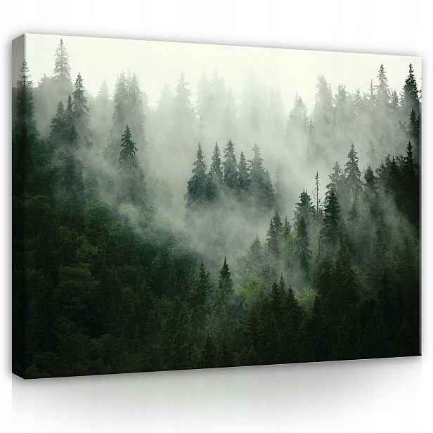 Obraz 100x75 Les v mlze mlhavý les příroda krajina mystika klid ticho