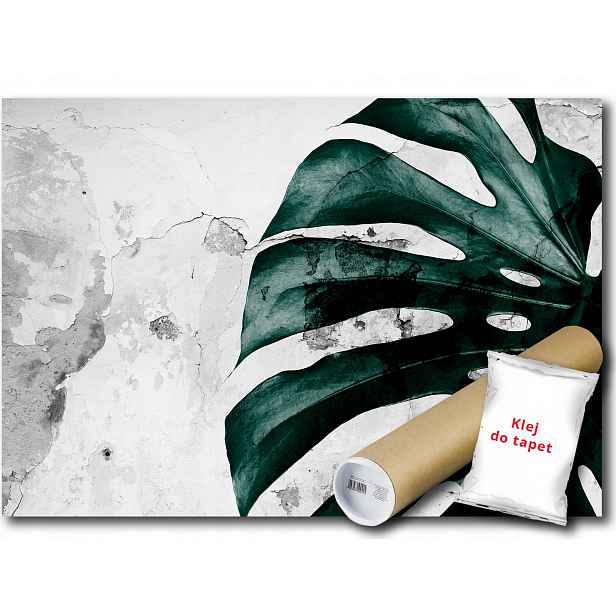 Vinylová Fototapeta Monstera Beton List 152x104