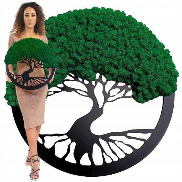 Obraz Mech Chrobotek Stromek Bonsai Obraz Z Mechu Stromek Na Dárek 50 cm