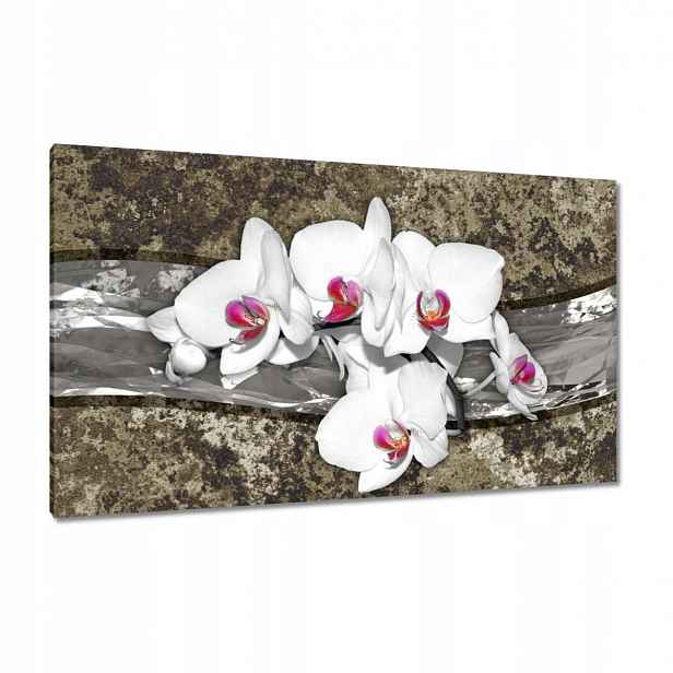 Obrazy 120x70 Bílá Orchidej Mramorové pozadí