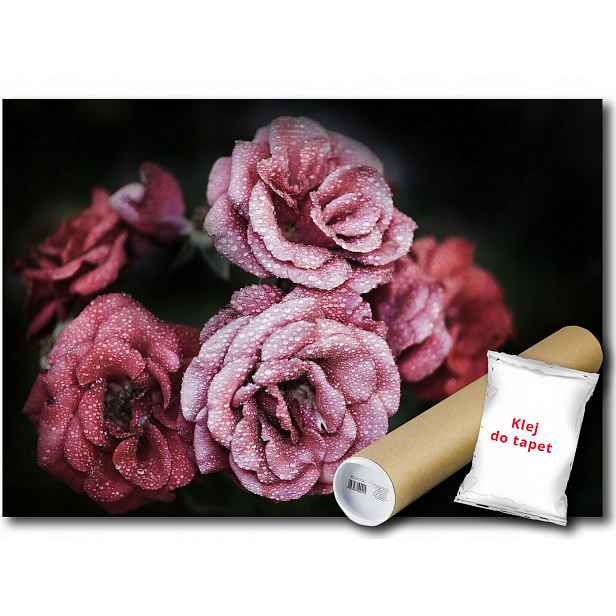 Vinylová Fototapeta Růže Květiny 152x104