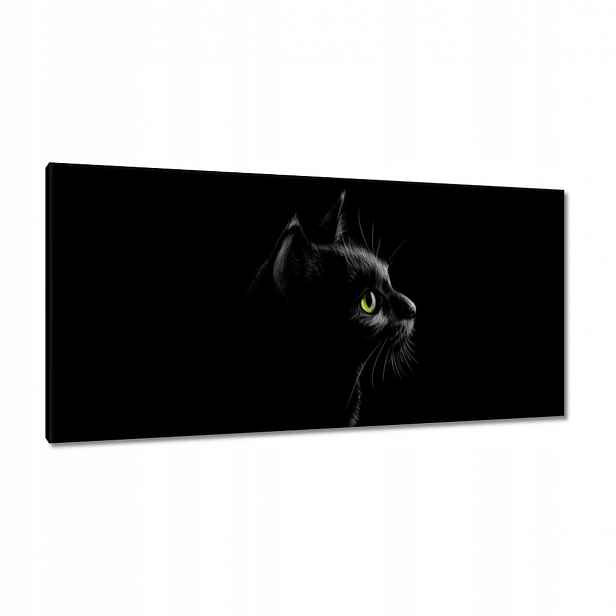Obrazy 115x55 Černá kočička