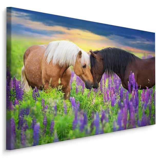 MyBestHome BOX Plátno Koně Na Louce Varianta: 120x80
