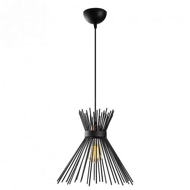 Černé kovové závěsné svítidlo Opviq lights Rosalia