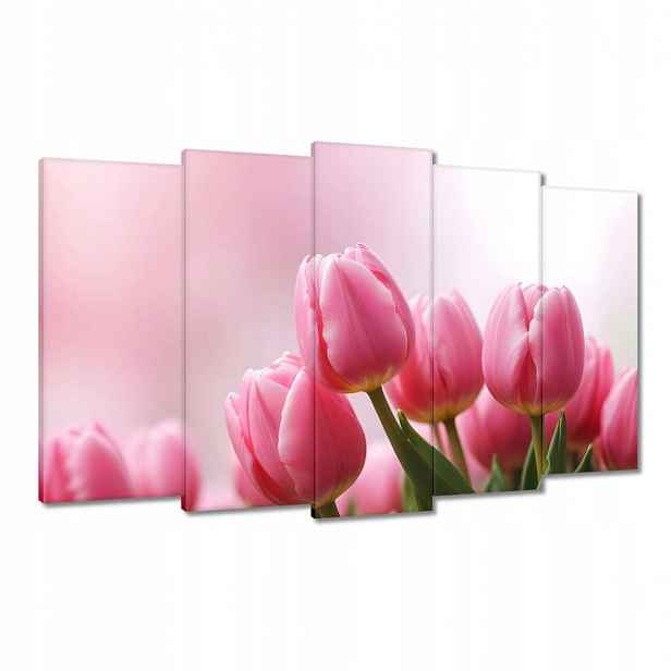 Obrazy 100x60 Růžové tulipány