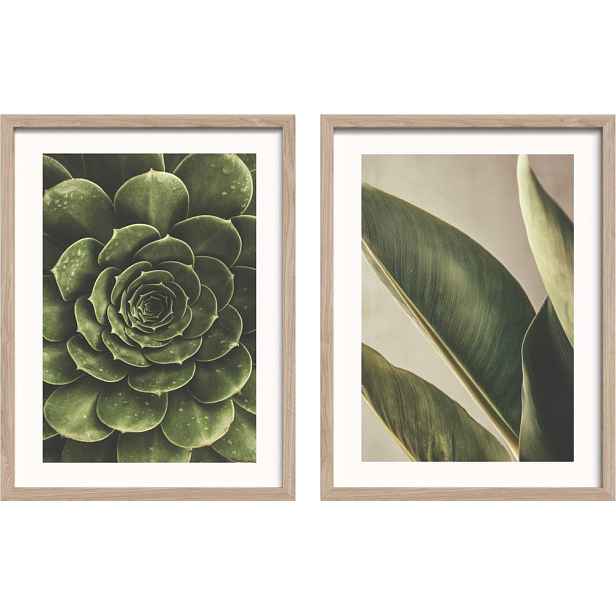 Tištěné obrazy v sadě 2 ks s rámem 30x40 cm Beauty Green – Styler