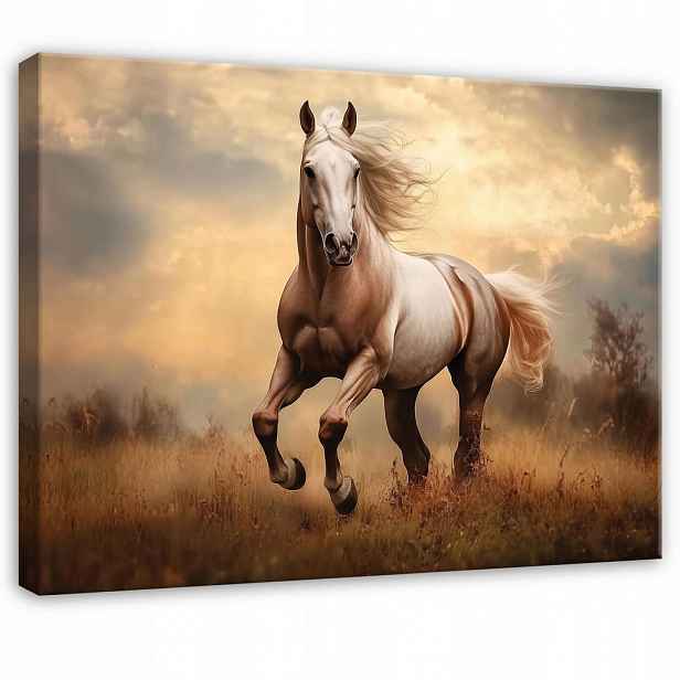 Wallarena FOTOTAPETA Koně Zvířata Ložnice 100x70