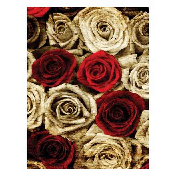 Fototapeta Červeno-bílé růže Vintage Elegance Zlatá 206x275 lepidlo