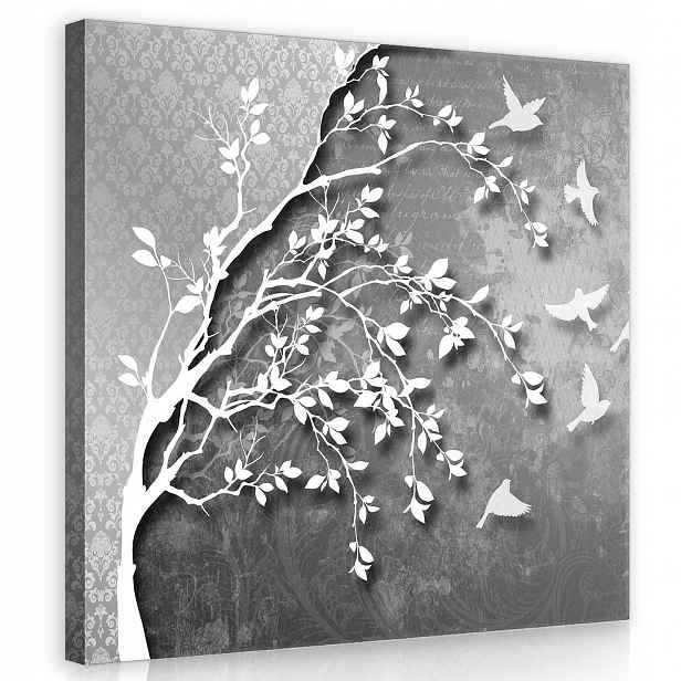 Obraz Na Plátně Canvas 80x80 Strom Ptáci 3D