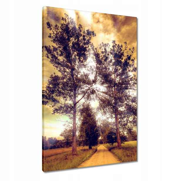 Obrazy 60x90 Venkovská krajina s cestou