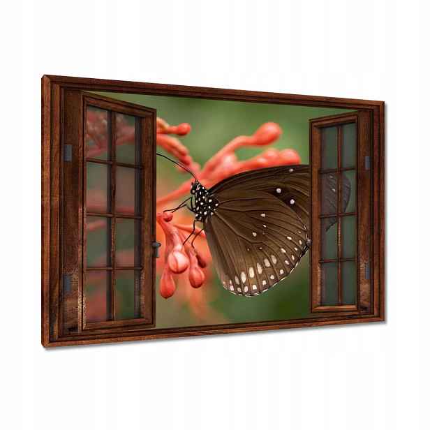 Obrazy 120x80 Hnědý motýl