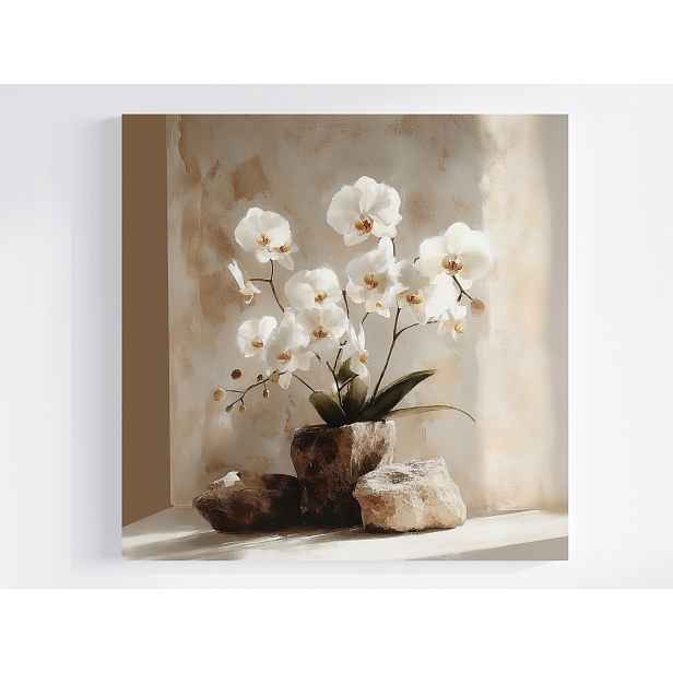 Obraz Na Plátně Canvas Dekorace Květiny Bílá Orchidej Zen 50x50