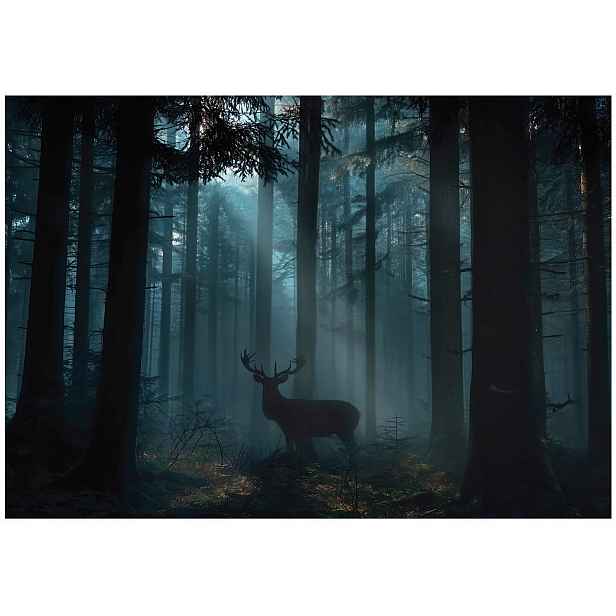 Fototapeta Zelený Les Stromy Tapeta Do Předsíně Obývacího Pokoje Kanceláře 150x105