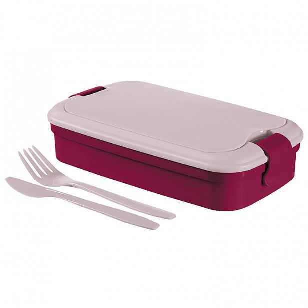 Picnic box Lunch and GO vínový 1,3 l