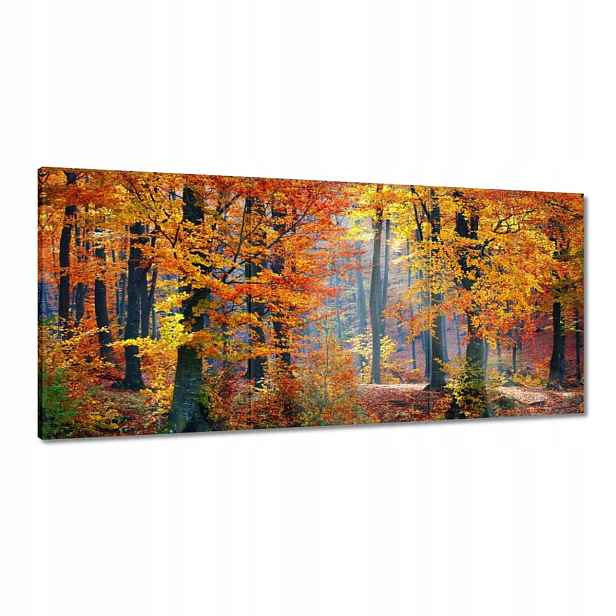 Obrazy 210x100 Zlatý podzim
