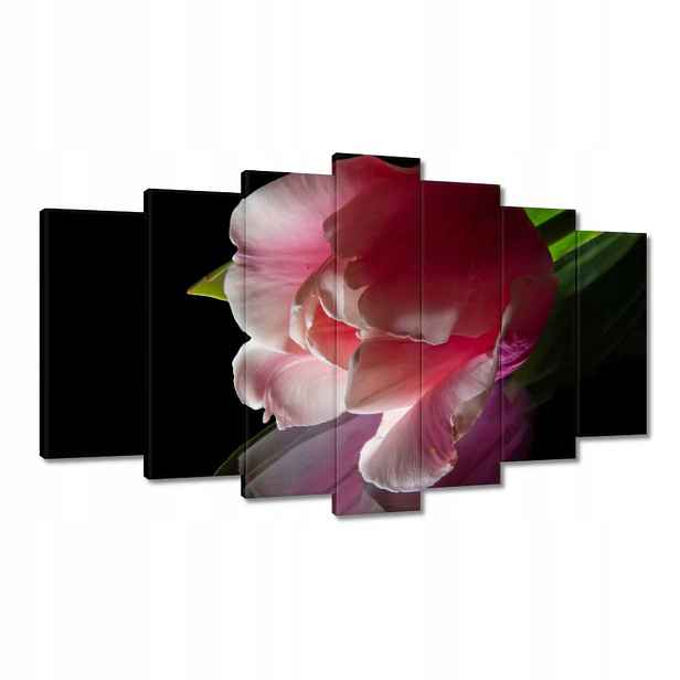 Obrazy 140x80 Růžový květ Tulipán