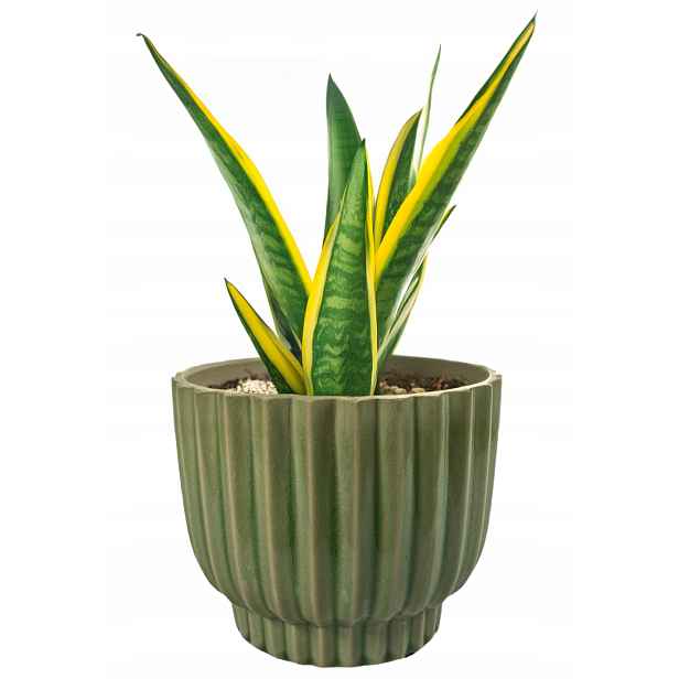 Květináč 18 cm zelený, velký květináč, obal do obývacího pokoje, lesk
