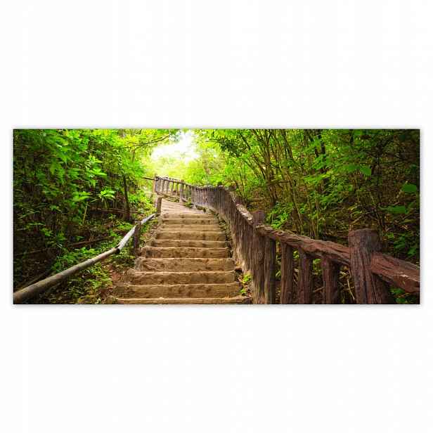 Fototapety flizelina 211x91 Schody do lesa