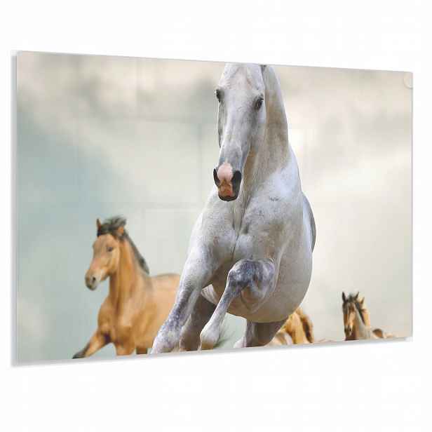 Tvrzený Panel 90x60cm 4mm Lacobel Dekorativní Do Kuchyně Ochranný