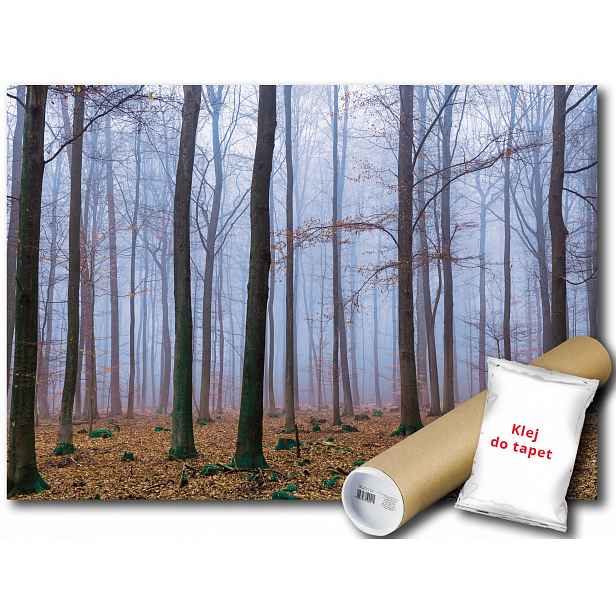 Vinylová fototapeta Les stromy podzim 152x104