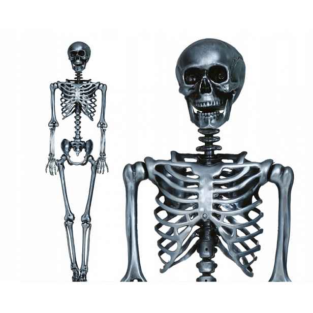 Kostra Kostlivec 160 CM Dekorace Halloween Mrtvola Kostra Dekorace