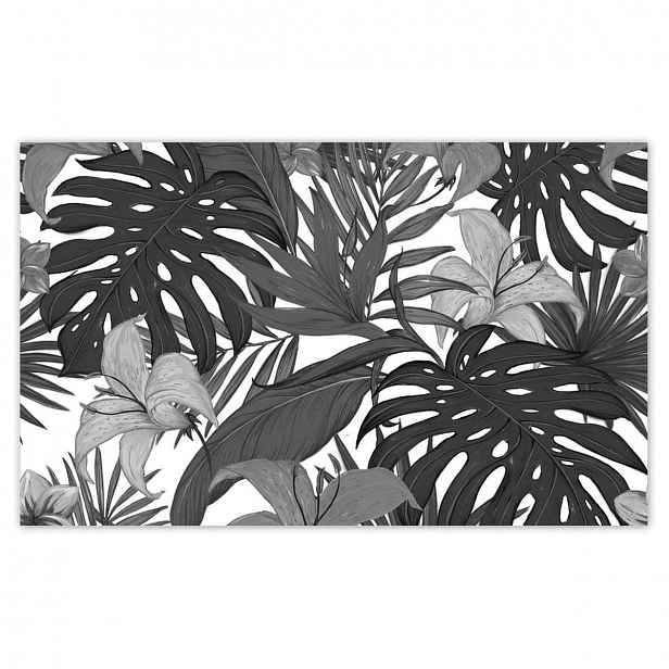 Fototapety 520x318 Černobílá monstera