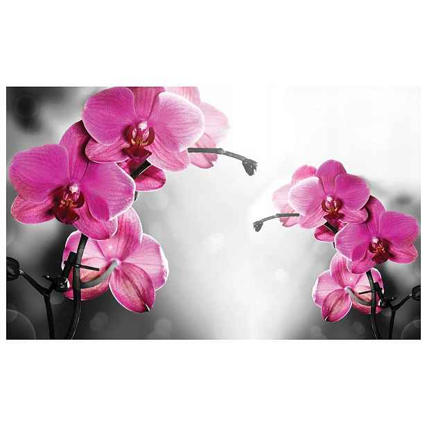 Fototapeta Orchideje růžové jemnost Elegance květiny 200x140 lepidlo