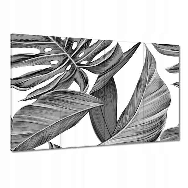 Obrazy 120x80 Monstera v šedé barvě