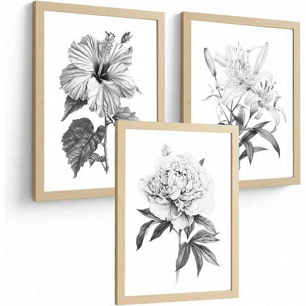 PLAKAT Sada 3 obrázků květin. Dekorativní nástěnné tisky Květiny tužkou. botanický plakát na zeď.Rám z lehkého dřeva velikosti A3