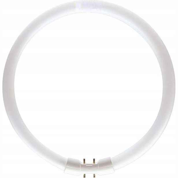 Philips kruhová zářivka 60W 840 2GX13 927966084013