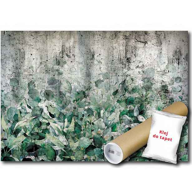 Vinylová Fototapeta Zeleň Listy Beton 152x104