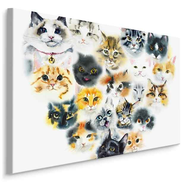 MyBestHome BOX Plátno Srdce Z Koček Varianta: 90x60