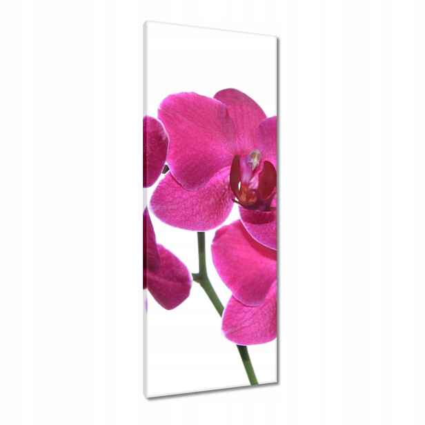 Obrazy 40x100 Fialový orchidej