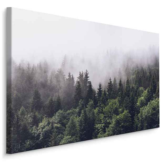 Plátno Les v Ranní Mlze Varianta: 120x80