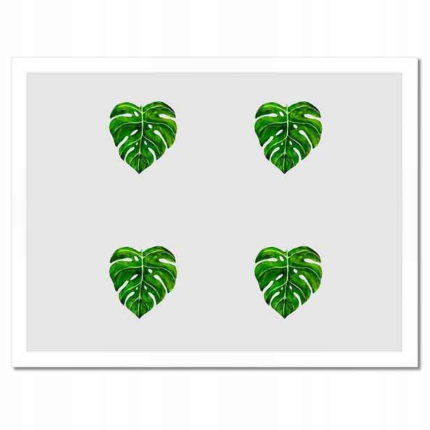 Plakáty v rámu 40x30 Monstera děravé listy
