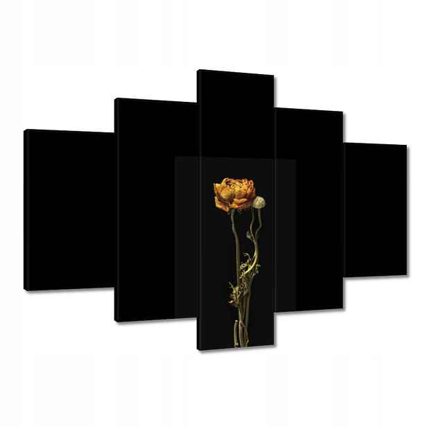 Obrazy 150x105 Sušený červený mák