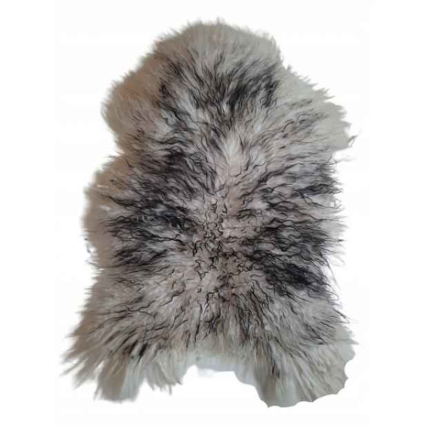Ovčí kůže Island Muflon Černá 111-130 cm Kudrnatá