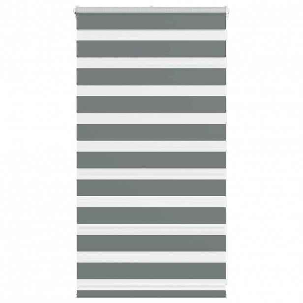 vidaXL Zebra roleta tmavě šedá 70x100 cm šířka látky 65,9 cm polyester