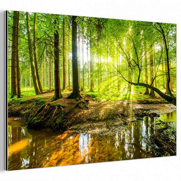 MuchoWow KOVOVÝ OBRAZ Les - Krajina - Voda - Stromy - Slunce - Zeleň - Příroda 60x40 cm