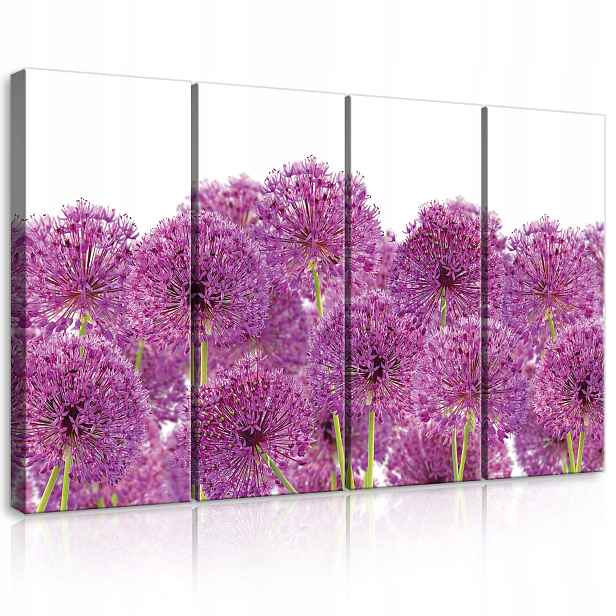 Obraz 120x80 Alium cibule ozdobný fialový s kulovitými květenstvími jaro léto