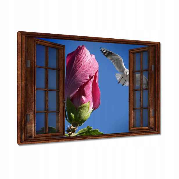 Obrazy 90x60 Nálet