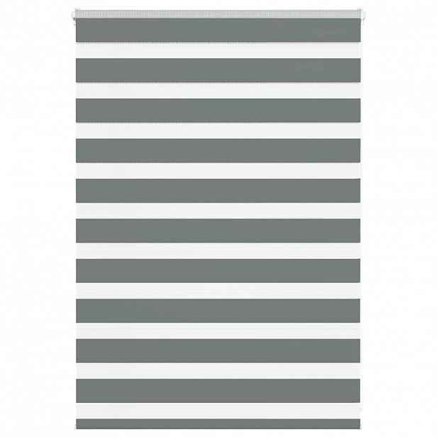 vidaXL Zebra roleta tmavě šedá 95x100 cm šířka látky 90,9 cm polyester