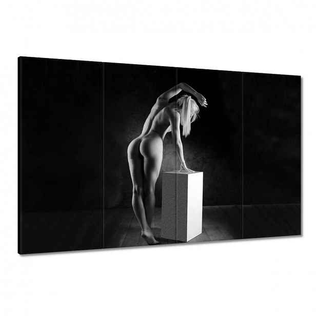 Obrazy 120x80 Žena Akt Černobílý