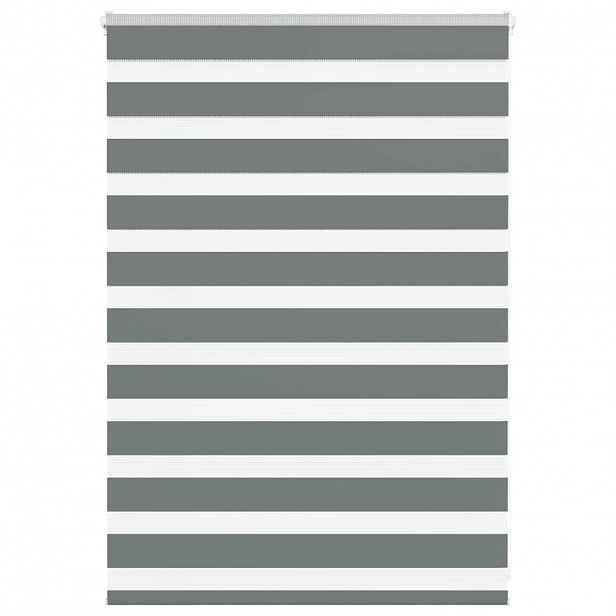 vidaXL Zebra roleta tmavě šedá 100x100cm šířka látky 95,9 cm polyester