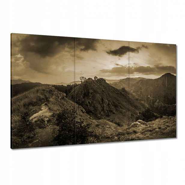 Obrazy 120x80 Hnědá krajina Krajina