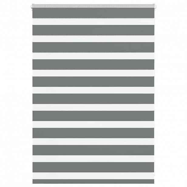 vidaXL Zebra roleta tmavě šedá 105x100cm šířka látky 100,9cm polyester
