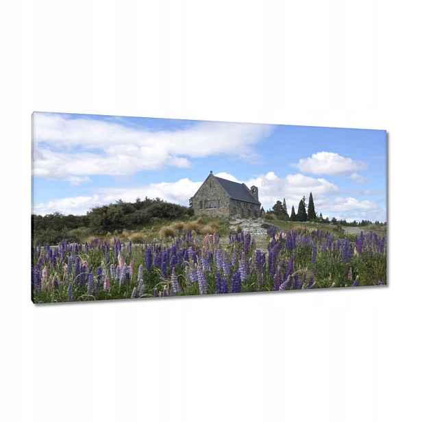 Obrazy 115x55 Fialové květy Kopec