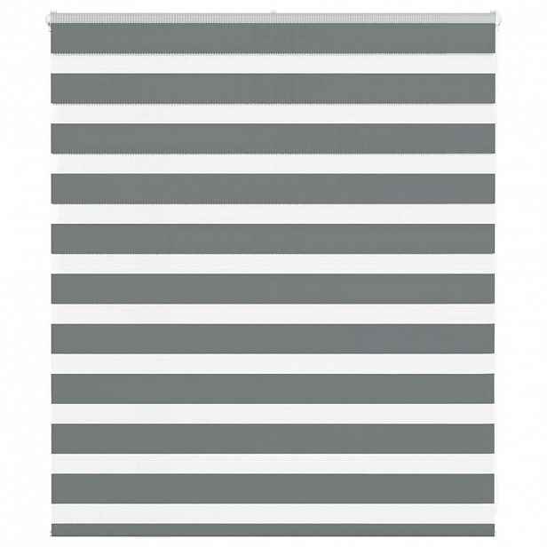 vidaXL Zebra roleta tmavě šedá 120x100cm šířka látky 115,9cm polyester