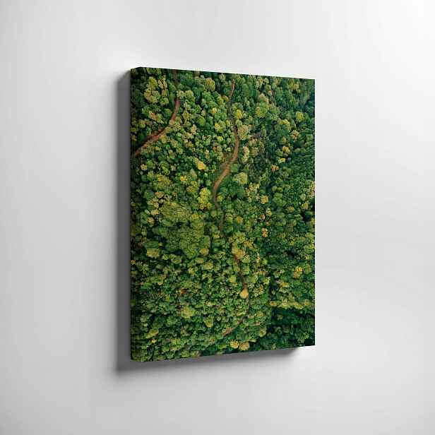 Obraz na plátně Moderní les z dronu na zeď, dekorace 70x50 cm